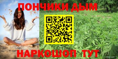 шишки Ирбит